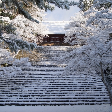 【GOGO☆関西】当館の雪見鍋(うどん・豚・鶏・魚貝類入り刺身付寄せ鍋）で皆ほっこりして下さい